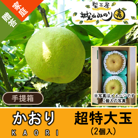 かおり梨(超特大玉)約2.4kg/2玉|梨の生産量日本一の千葉県 かおり梨(超特大玉)約2.4kg/2玉|梨の生産量日本一の千葉県