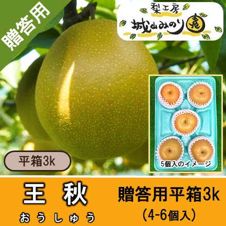 王秋 梨（おうしゅう なし）・産地直送