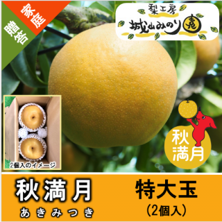 N-M9 ̡ˡ 2kg 2 \3500