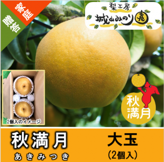 N-M8 ̡ˡ 1.8kg/2 \2700
