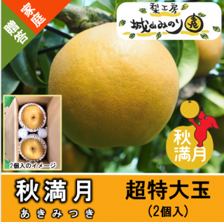 N-M10 Ķ̡ˡ 2.4kg/2 \4300
