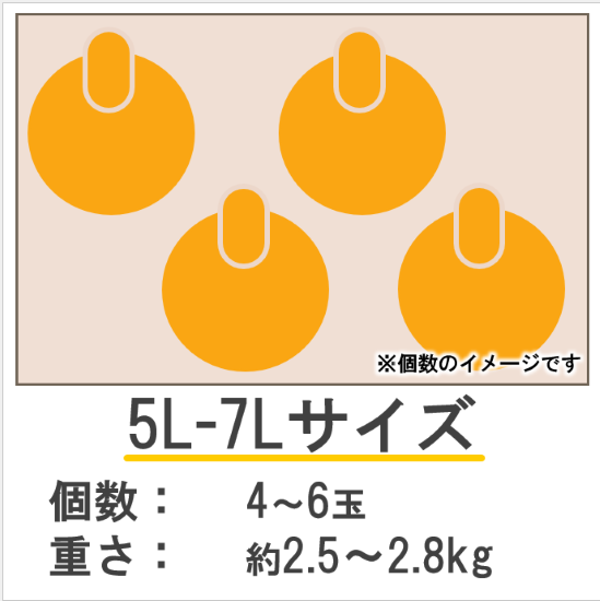 ͥ