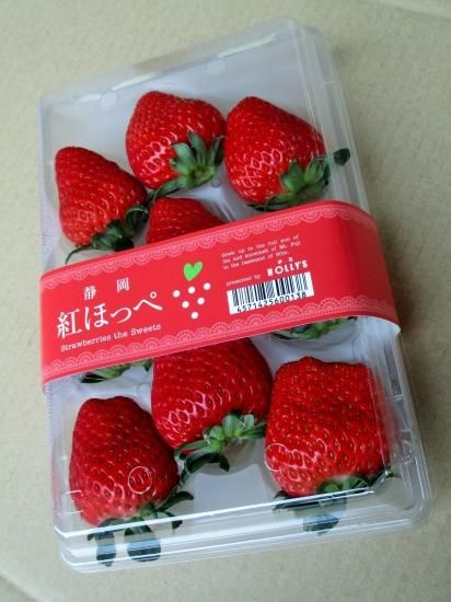 静岡県産 紅ほっぺいちご 特大サイズ 8 11粒 1パック 伊豆ホーリーズ 株式会社 池彦 静岡県産 紅ほっぺいちご 特大サイズ 8 11粒 1パック 伊豆ホーリーズ 株式会社 池彦