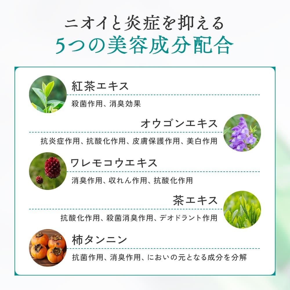 rollon11.jpg