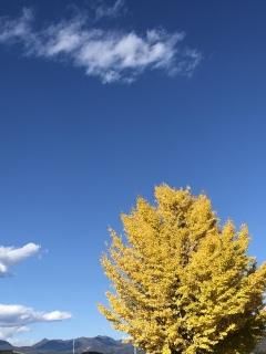 ڤʡ