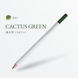 ŵ D17 ;/CACTUS GREEN
