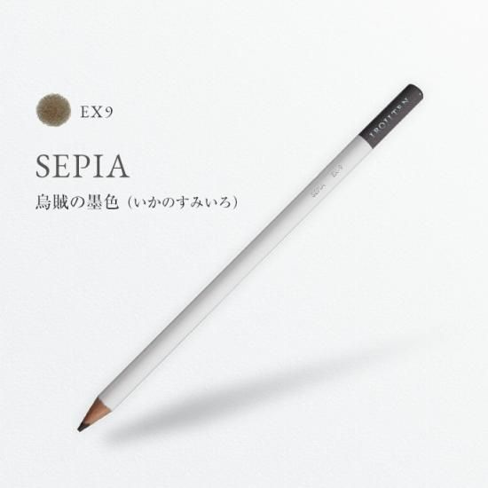 スペイン語ミニ辞典: 西和+和西 | 宮本 博司 |本 | 通販 | Amazon
