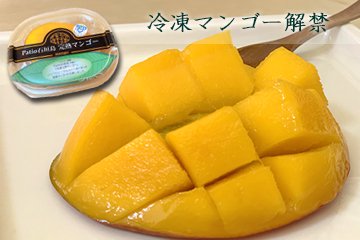 パティオ石垣島　冷凍マンゴー