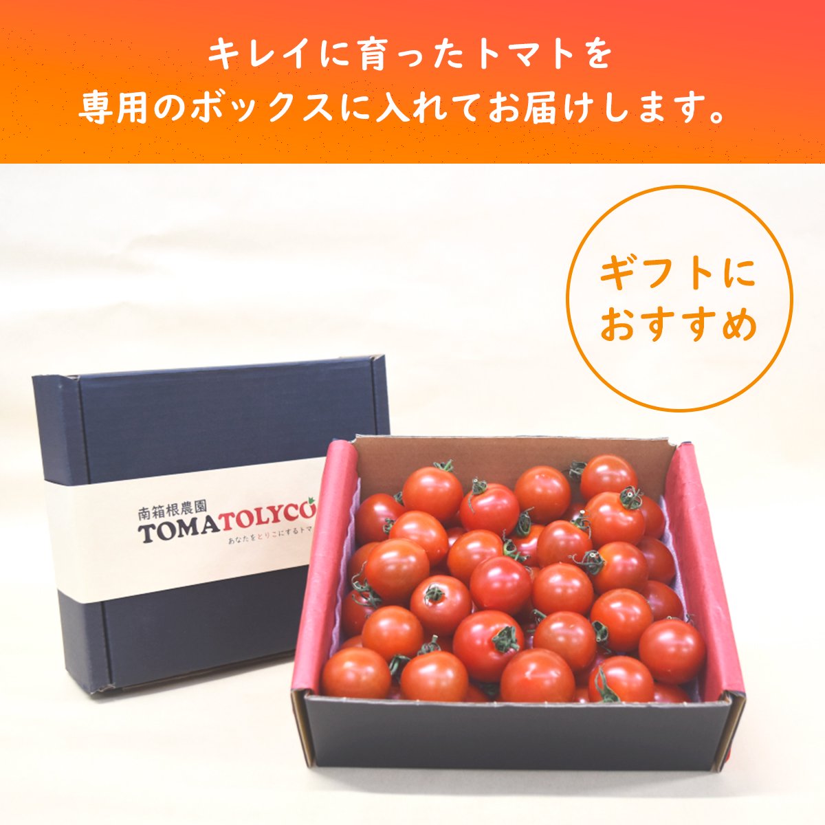 トマトリコギフトボックス