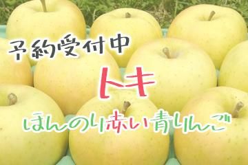 桼ȥ꡼եĿ