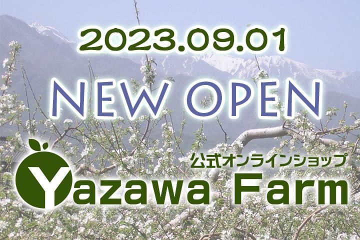 YazawaFarm饤󥷥å