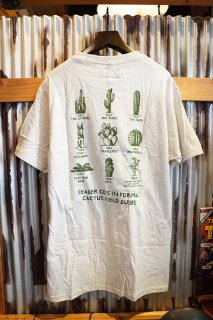 SEAGER INFORMAL CACTUS GUIDE TEE (OATMEAL)