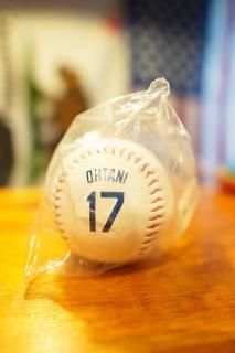 Los Angeles Dodgers Shohei Ohtani Rawlings Logo Baseball