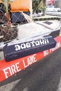 DOGTOWN  COUCH CURB PILLOW (BLACK)