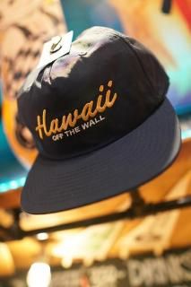 VANS  HAWAII LOCAL CAP (NAVY)