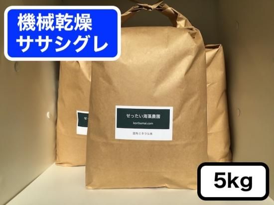 自然栽培米 幻の米 ササシグレ 令和６年産玄米 20kg(5kg✖️4袋)精米無料 ササシグレ 玄米 