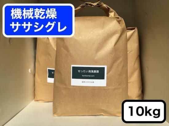 スーパーセール ポイントUP】【ササシグレ 成澤 精米 10kg 】令