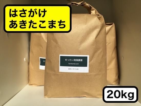 玄米限定】【はさがけ】昆布ミネラル米 20kg(品種：あきたこまち