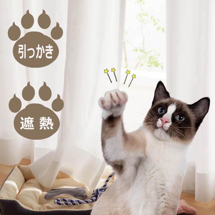 猫レース　犬レース　ブラトップ ブラック・ホワイト　新品　早い者勝ち 猫レース 犬レース ブラトップ ブラック・ホワイト 新品 早い者勝ち 猫