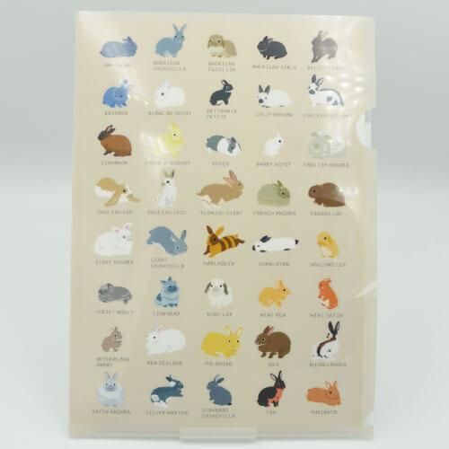 クリアファイル うさぎ図鑑 Size File Folder 大賀 一五 うさぎ雑貨店 Rebekka