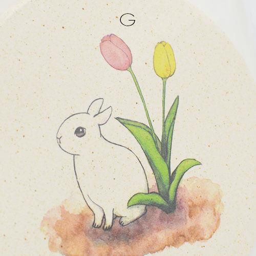 珪藻土コースター 7種類 [ Mille Feuille de lapin ] - うさぎ雑貨店