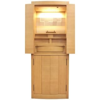 ʩ   դ ȶĴ  ȥ쥢 40  LED饤   ӥ μ ¼ ǥʡʩ 120cm   ̵ 