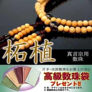 <img class='new_mark_img1' src='https://img.shop-pro.jp/img/new/icons1.gif' style='border:none;display:inline;margin:0px;padding:0px;width:auto;' />ѿ   ǰ  Ϣ ӿ Ĥ   Ĵŷ  б  