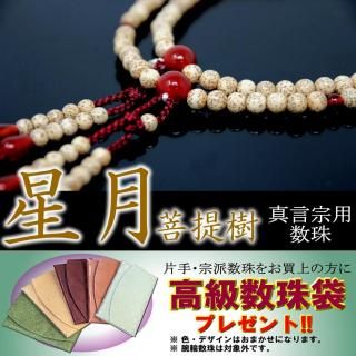 <img class='new_mark_img1' src='https://img.shop-pro.jp/img/new/icons1.gif' style='border:none;display:inline;margin:0px;padding:0px;width:auto;' />ѿ   ǰ  Ϣ      ܡ  Ĵŷ  б  