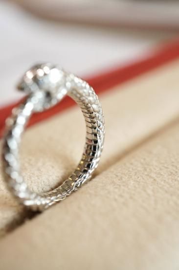 オリジナル・スネークリング『ウロボロス』プラチナ製・ダイヤモンド