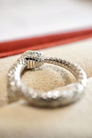 オリジナル・スネークリング『ウロボロス』プラチナ製・ダイヤモンド