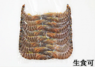 褭Ķ®֤ (500g)