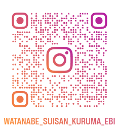 instagram()