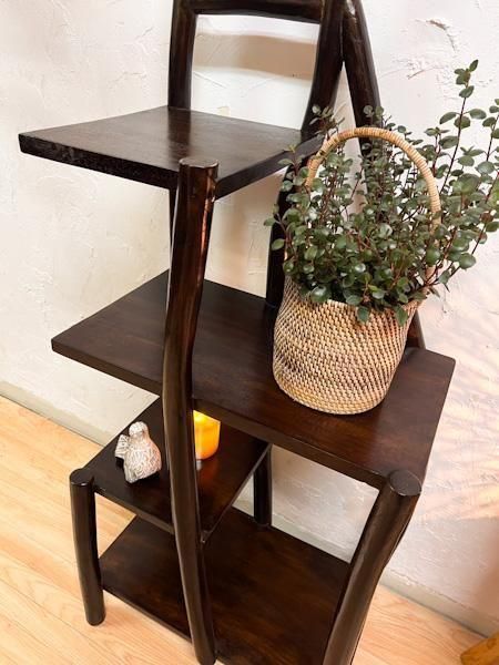 ڣپʡۥκʥå硡(֥饦)