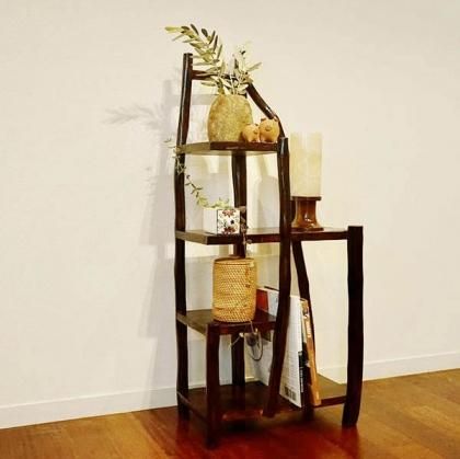 バリ島の元気なトカゲさん