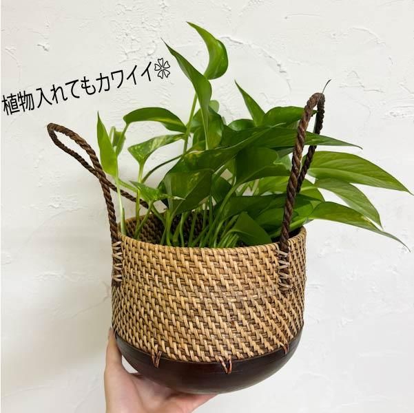 クルースバスケット