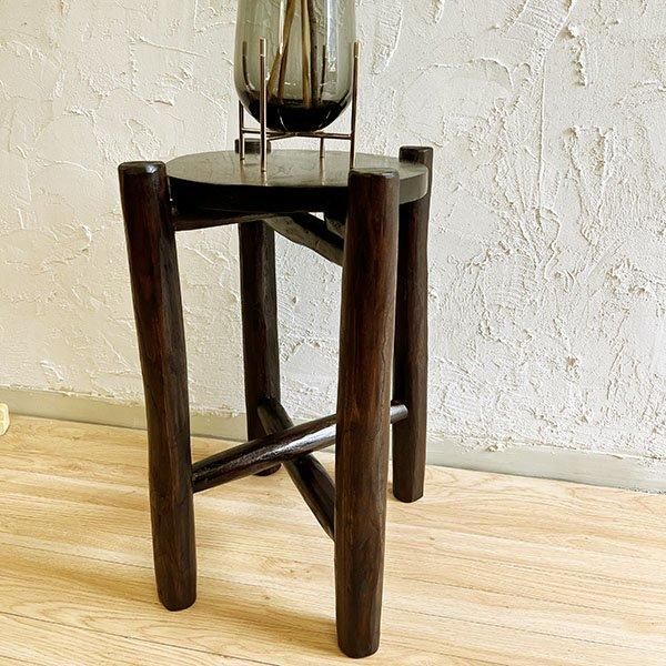 ARκΥ饦ɥɥơ֥M 50cm˥֥饦