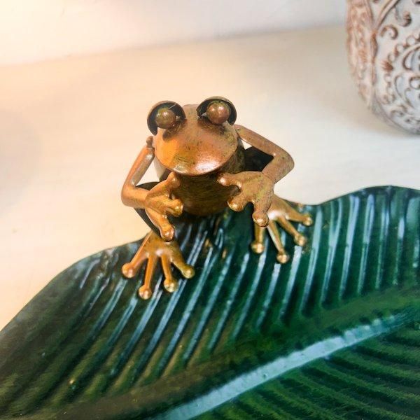 󥫥ξʪ