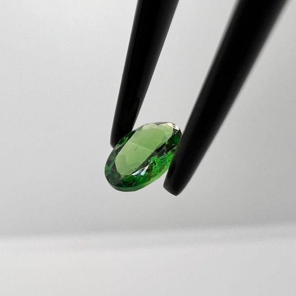 ꡼󥬡ͥåȥХ롡64