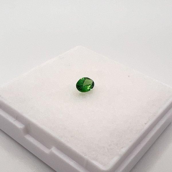 ꡼󥬡ͥåȥХ롡64