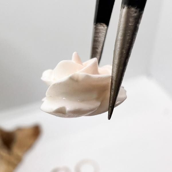 ʳ˥Х顡1015W77880731