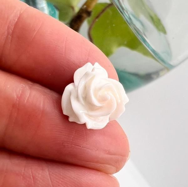 ʳ˥Х顡1015W77880731