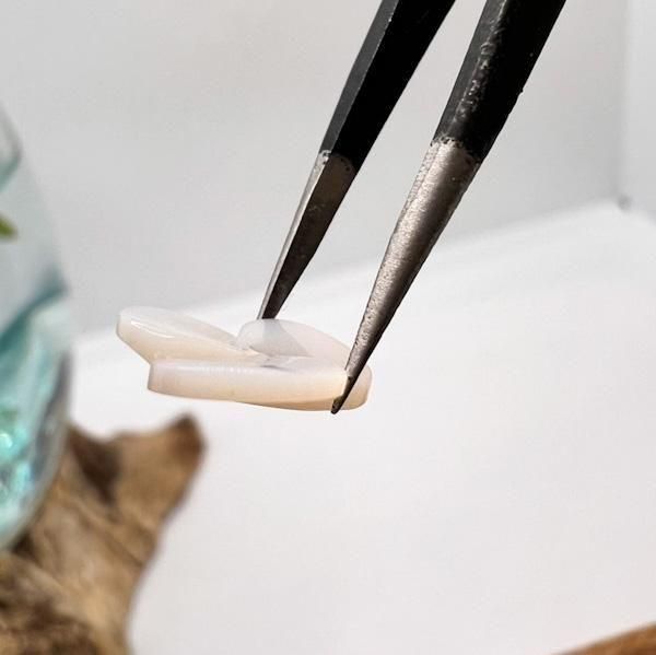 ĳꤢꡡmmP84880040-31