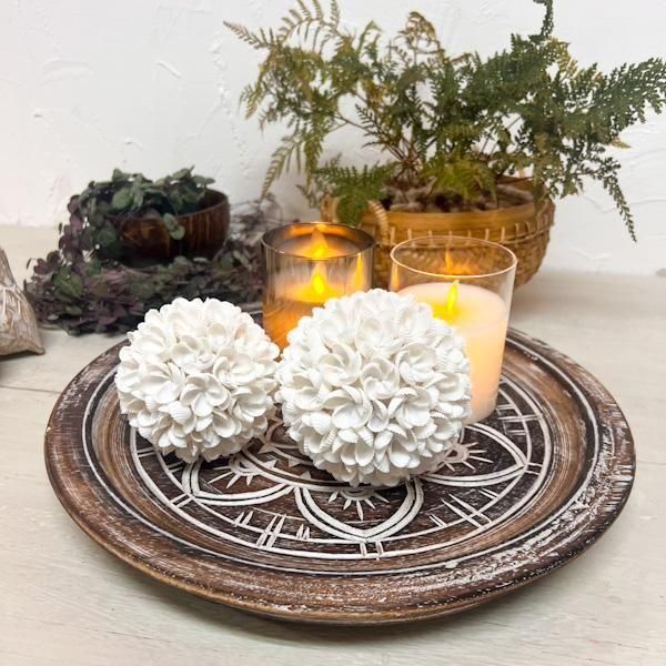 BALIβåɥץ졼ȡ饦ɡS