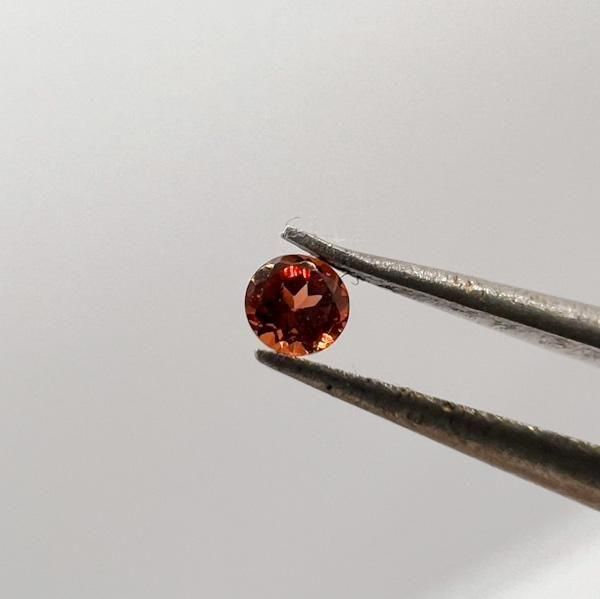 ͥåȡ2mmW8488000534 