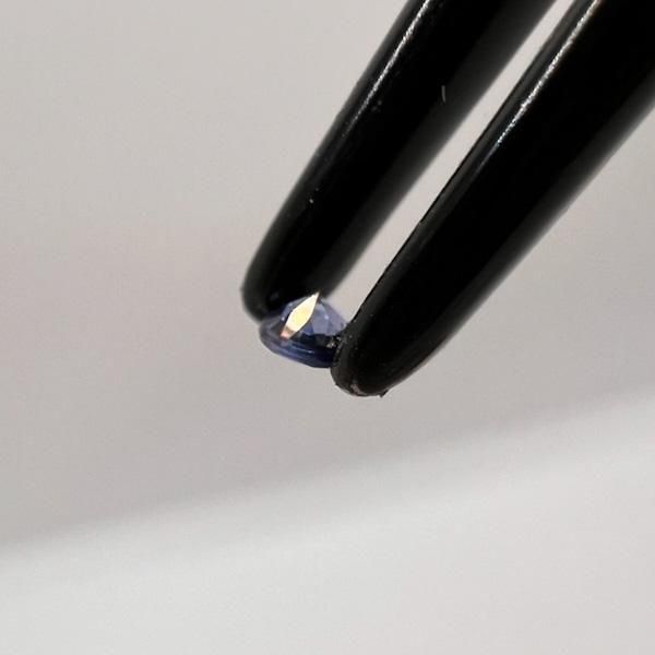 ֥롼եߥɥ륫顼W8488000934  DTBB  C