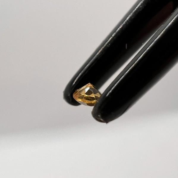 ȥ󡡣W8488000834 DTCG  C