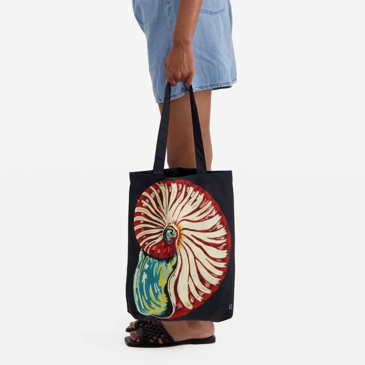 INOUI EDITIONSХå (Galapagos)