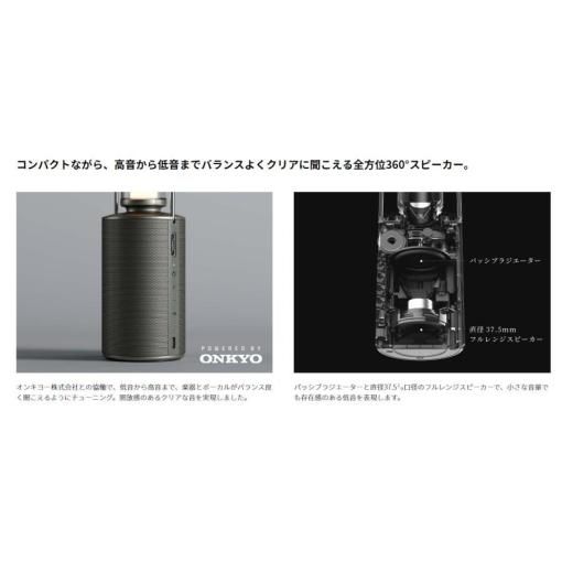 SHARP ポータブルスピーカーランタン DL-FS01L-S オリーブ SHARP ポータブルスピーカーランタン DL-FS01L-S オリーブ