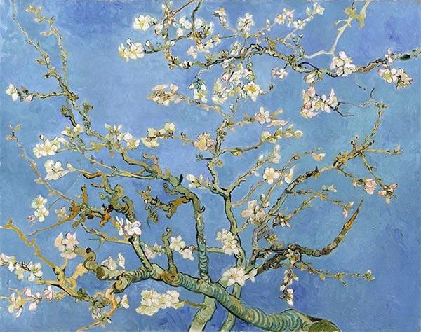 花咲くアーモンドの木の枝 - 最高級複製画専門店 《 ワールド