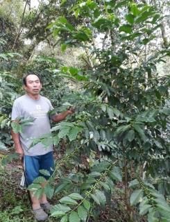 Nuu Iteeʥ̡ƥ-washed- ('23-'24)  ޡ46kg